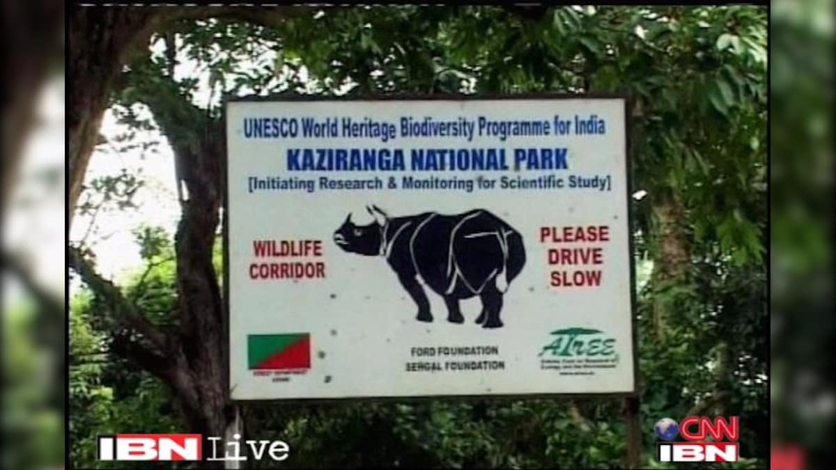 Assam: Kaziranga National Park opens for tourists - News18