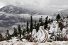 Kashmir receives fresh snowfall, National Highway closed