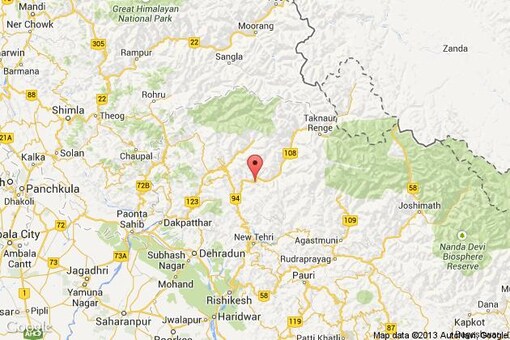 Two snow leopards sighted at Gangotri National Park - News18