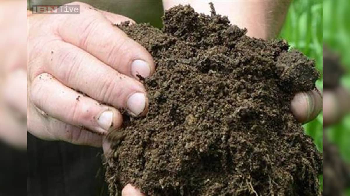 Michigan zoo is selling animal 'Doo' in a fun way to dispose of animal