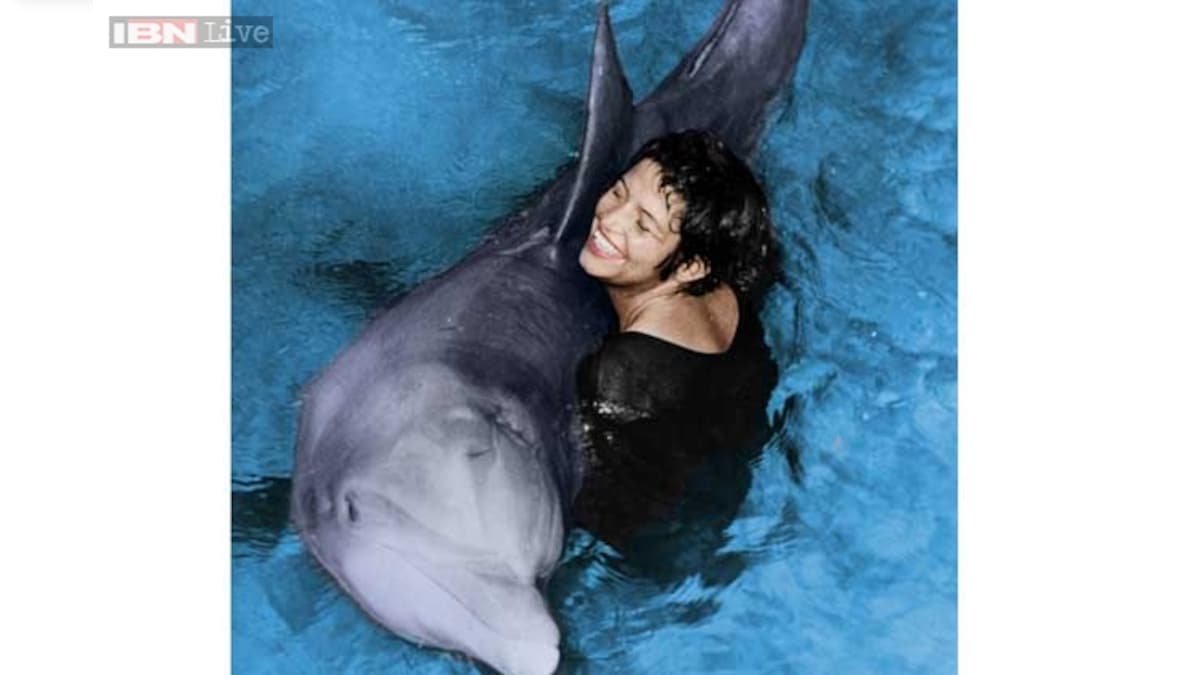 This male dolphin fell in love with a female researcher!