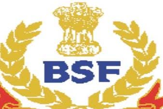 The distribution of BSF scores within the study population.... | Download  Scientific Diagram