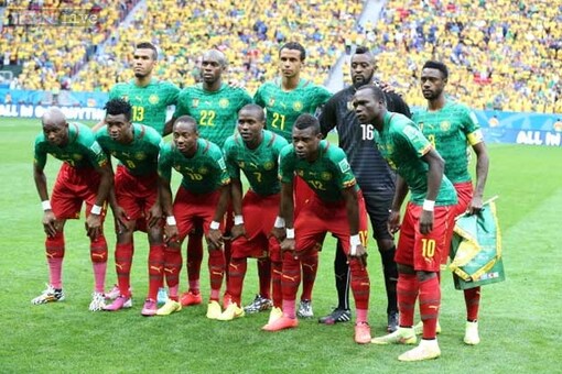 World Cup 2014: Cameroon to investigate match-fixing claims