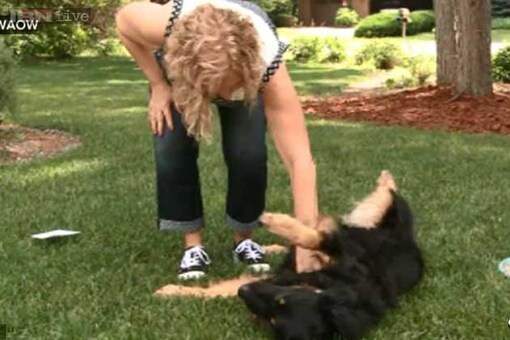 Dog coughs up a diamond wedding ring after five years!