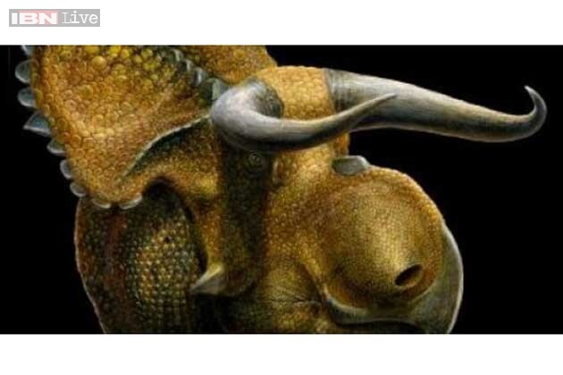 dinosaur with two horns on nose