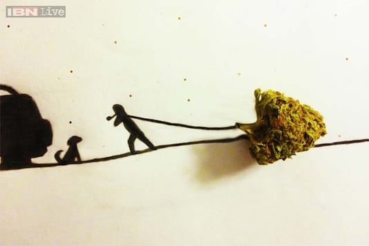 Photos: This person's creative drawings of a man and a dog around a clump of marijuana have given the Internet quite a high Photos: This person's creative drawings of a man and a dog around a clump of marijuana have given the Internet quite a high