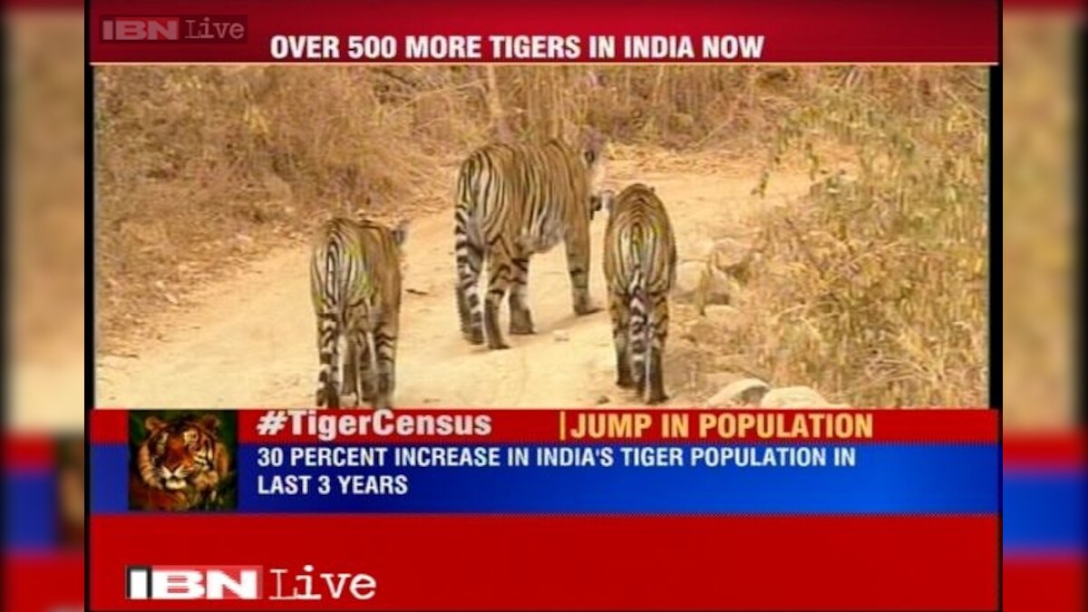 India has 2,226 tigers now, population grows by 30% in past three years