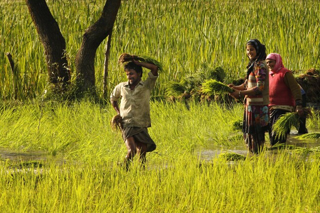 Vidarbha Jan Andolan Samiti terms NCRB report on farmer's suicide as "hoax"