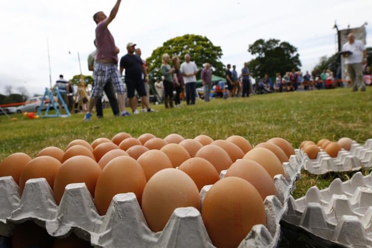 Did you know that England has an actual 'Egg Throwing Championship
