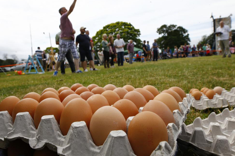 Did you know that England has an actual 'Egg Throwing Championship