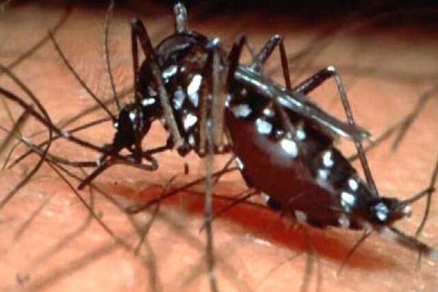 Dengue Cases in Karnataka Up by 138% Since 2018, Govt Data Reveals