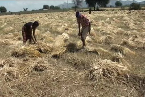 Would set up panel to re-look policy on farmers: Centre to SC