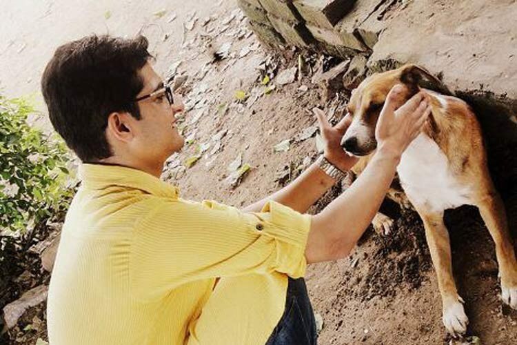 12 ways to help dogs this Diwali
