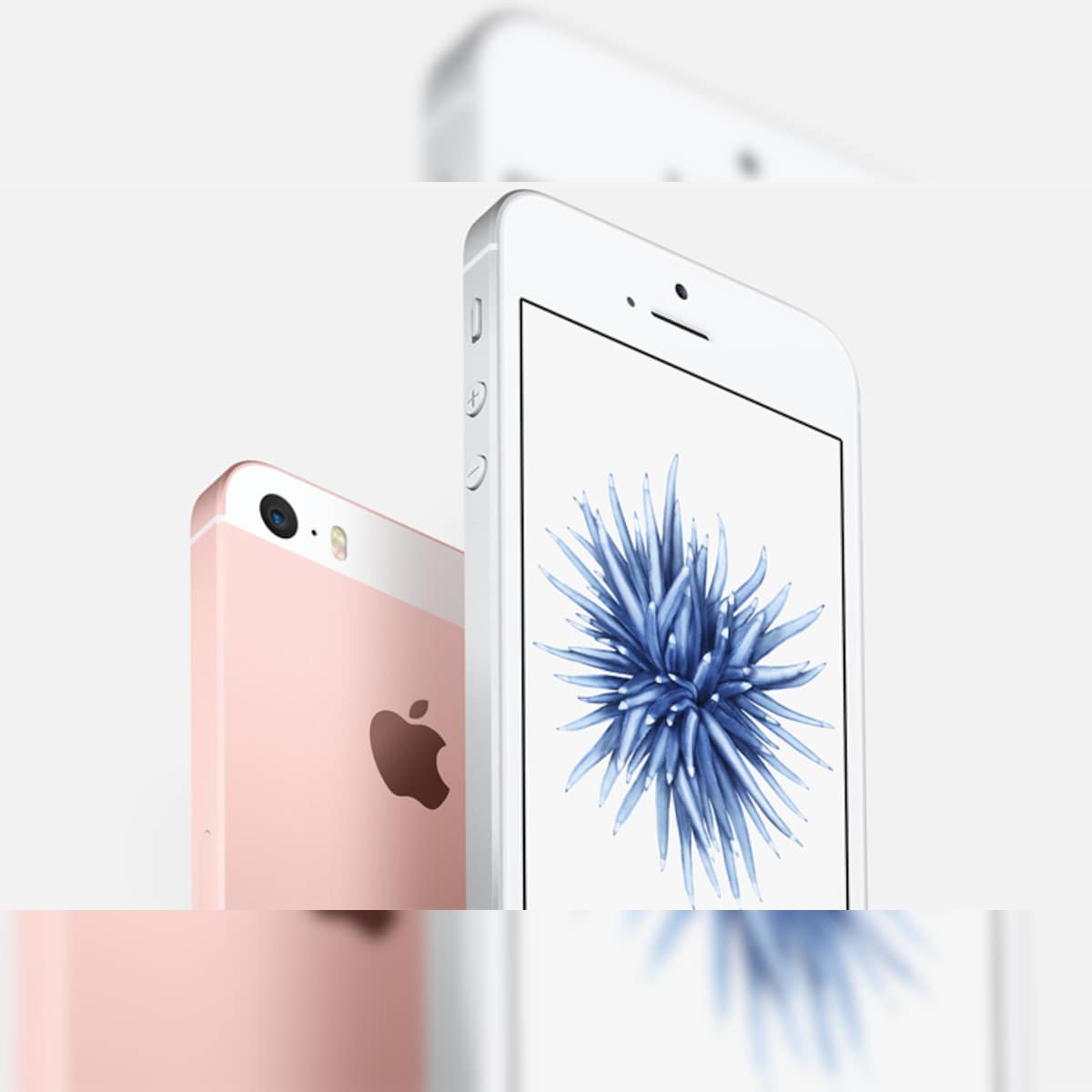 Verheugen royalty Afdrukken Photos: iPhone SE, Apple's new 4-inch iPhone that looks almost like the iPhone  5s