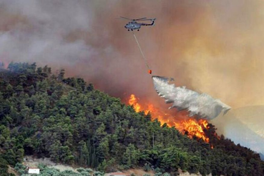 Massive Forest Fire Traps 25 Trekkers in TN’s Theni; Air Force Joins Rescue Mission