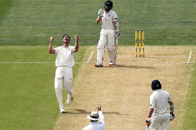 File image of Mitchell Starc celebrating after picking up a wicket. (Reuters)