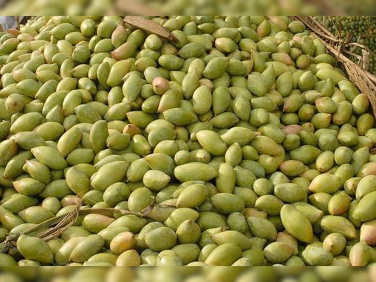 Alphonso Totapuri And Other Irresistible Varieties Of Mango