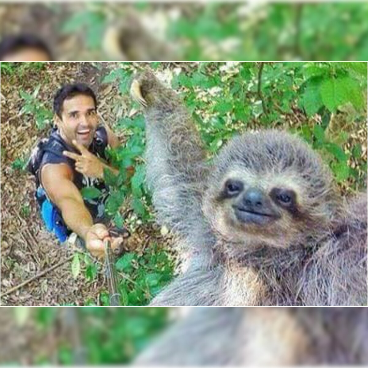 This Man Clicked A Selfie With A Smiling Sloth And It's Breaking The  Internet