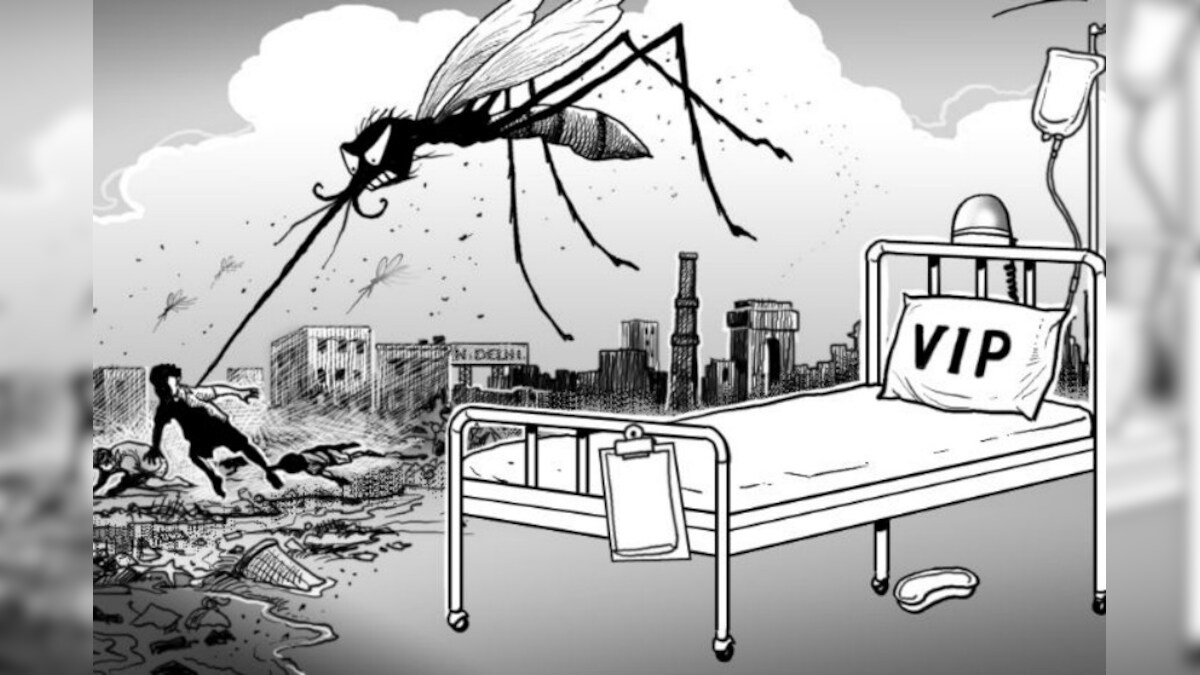 Prevent Yourself from Getting Dengue: Symptoms, Treatment of Mosquito-borne  Diseases