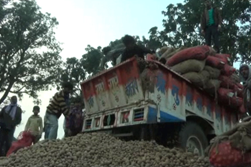 potato farmers conquer devastating with paper