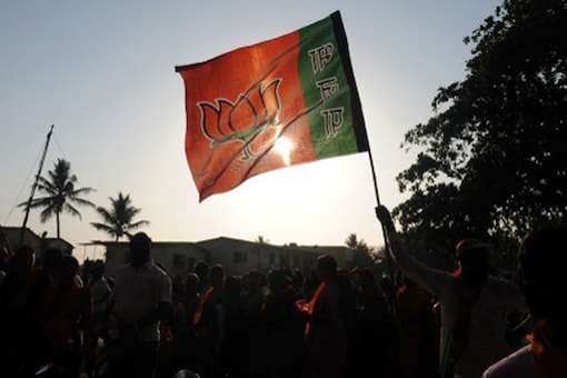 File image of BJP flag. (Image: AFP)