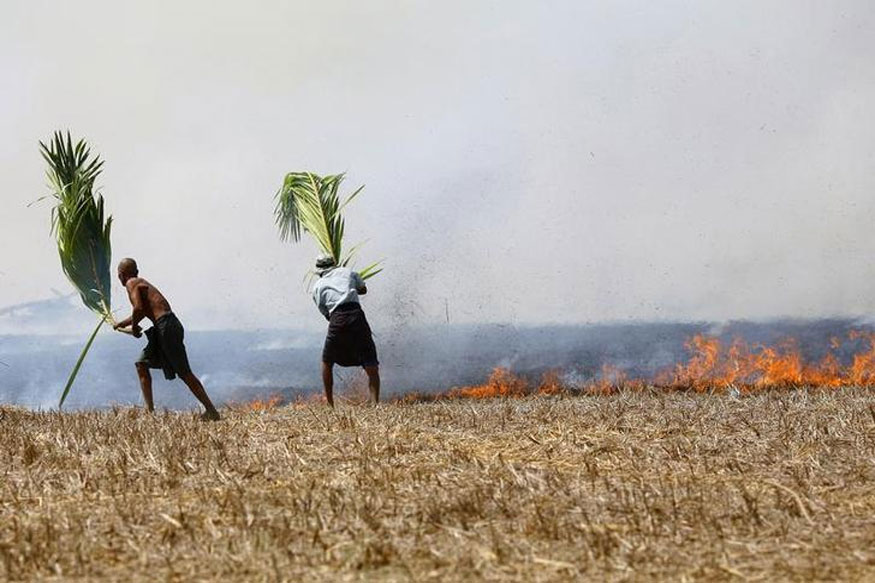 Punjab to Stop Paddy Straw Burning From This Year HC on Air Pollution