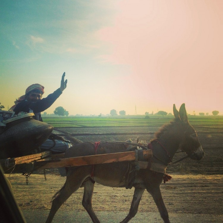 While tracing your way along the Indus River towards Sehwan Sharif, one can already experience the warm-welcome from the locals – imitating the philosophy of Lal Shahbaz Qalandar himself.