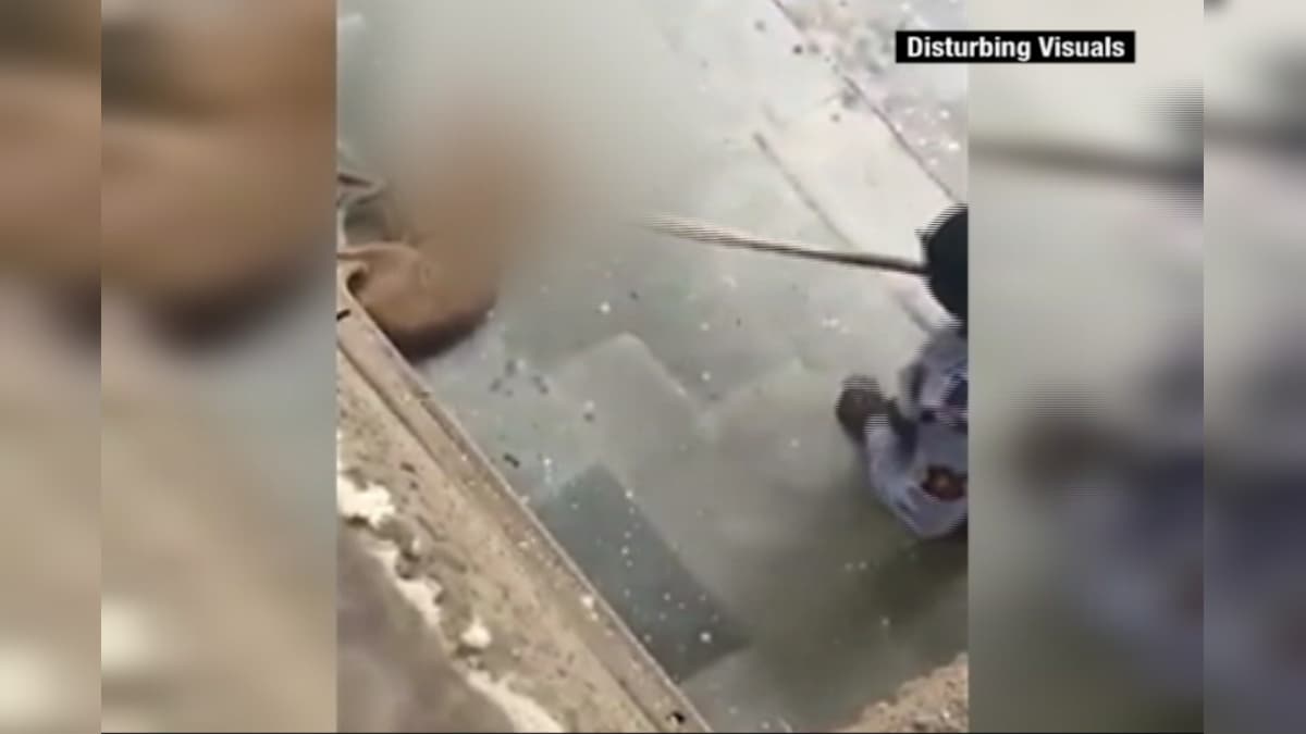 Video of Dog Being Beaten to Death Goes Viral, Security Guard Booked