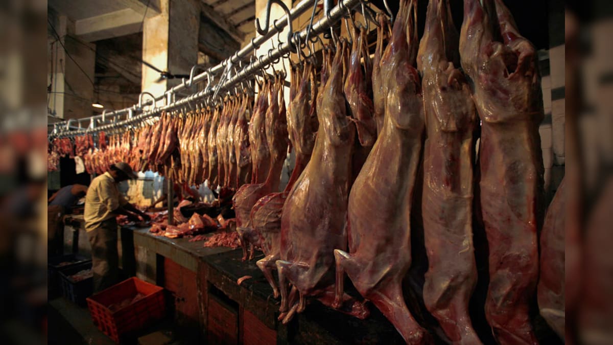 Animals meat. Slaughterhouse. Мадагаскар мясная промышленность.