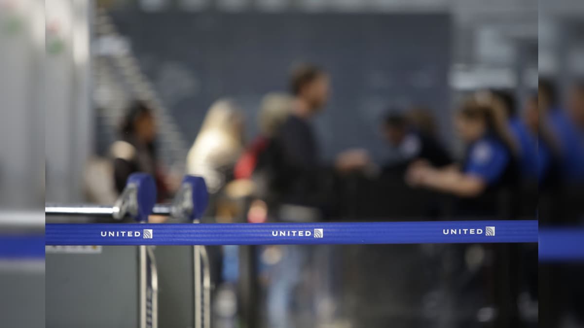 Trouble For United Airlines, Celebrity's Giant Rabbit Dies on Flight