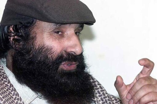 File picture of Hizbul Mujahideen chief Syed Salahuddin.