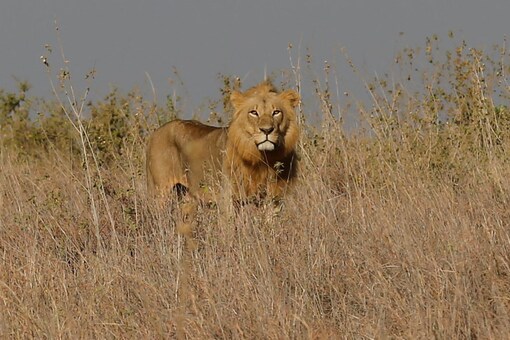 Representative image. Photo: Reuters