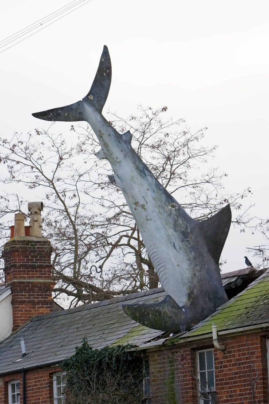 Unusual Strange Great White shark figure whacky art plunged through roof of house in suburban street, Oxfordshire, UK (Image: Getty Images)