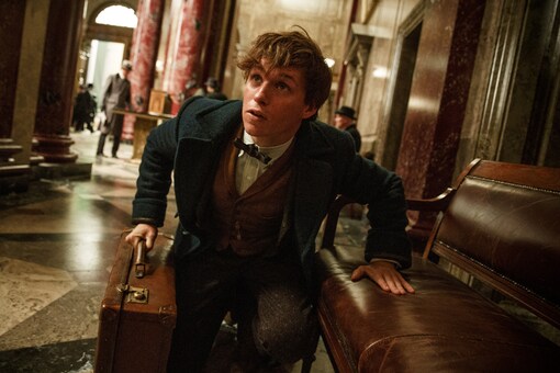 A still from the first Fantastic Beasts (Image courtesy: AFP Relaxnews)