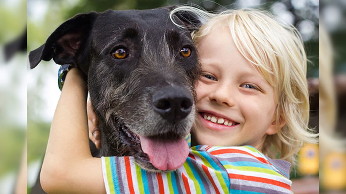 Dog Lover's Take Note, Your Furry Friend May Get Affected by Your Stress