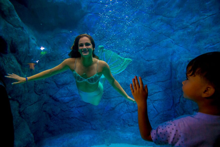 Del Rio Mermaid In Brazil, Mythical Creature of Sea Mermaid is Quite Real; See Pics ...