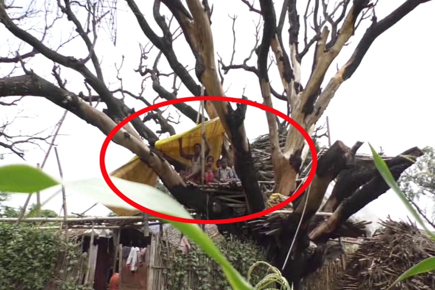 Why People in This Bihar Village are Living Atop Trees