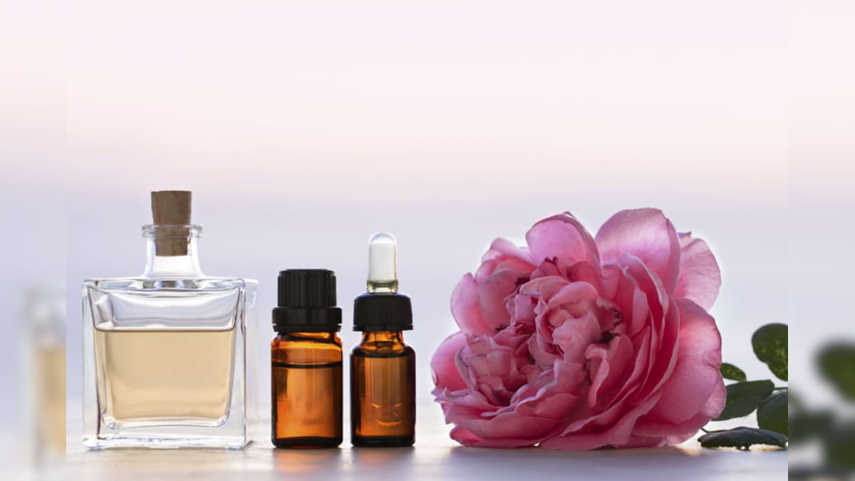 Damask Rose A Sensual Fragrance For Summer News18