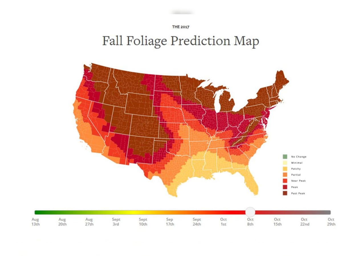 Interactive Foliage Map 2020 New Interactive Map Tells You When The Leaves Are At Their Most Colorful In  Us This Fall