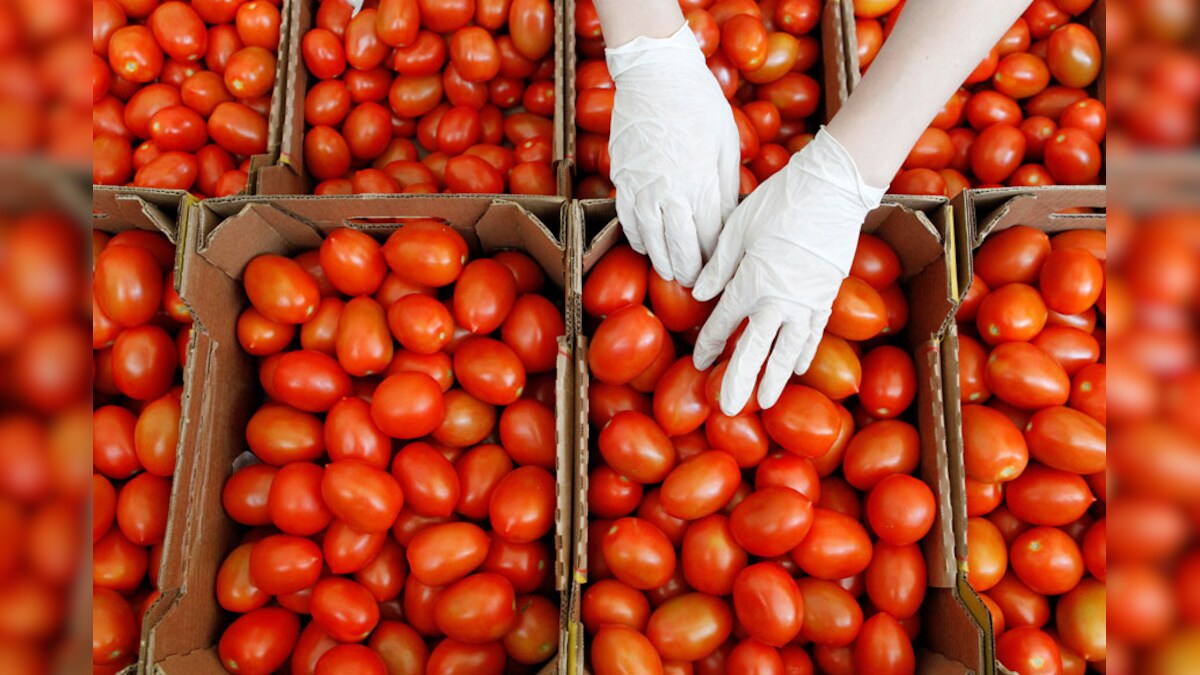Eat Tomatoes to Fight Liver Cancer, Inflammation News18