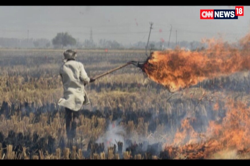 Stubble Burning in Punjab, Haryana Contributed to 32% of Delhi Pollution Today: Report