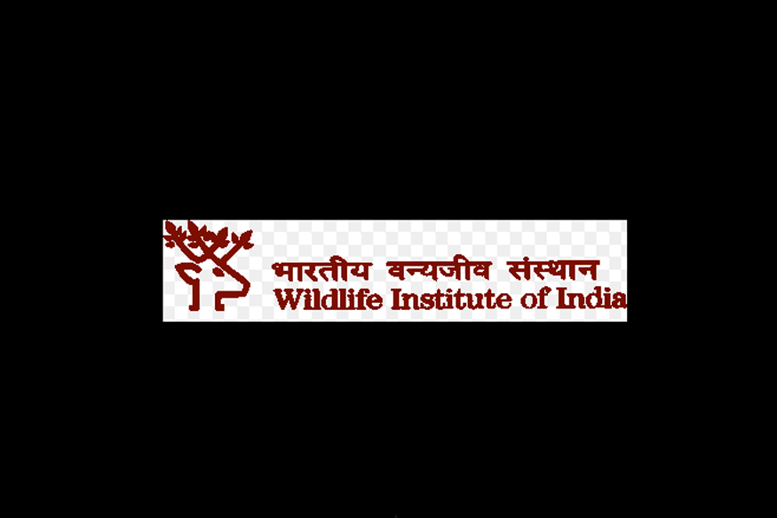 Wildlife Institute Of India, Dehradun Recruitment: 59 Posts, Apply