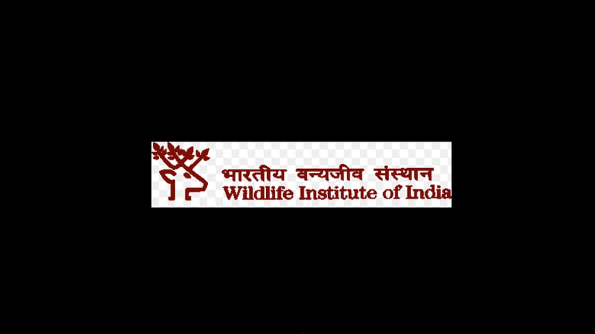 Wildlife Institute Of India, Dehradun Recruitment 59 Posts, Apply