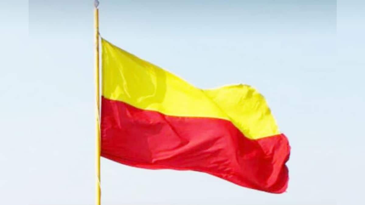 Cannot Accept Proposed Karnataka Flag Design, Says Pro-Kannada Group Leader