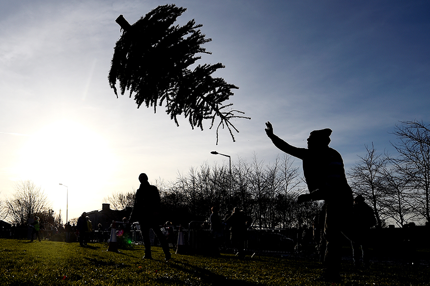 In Pictures Christmas Tree Throwing Competition