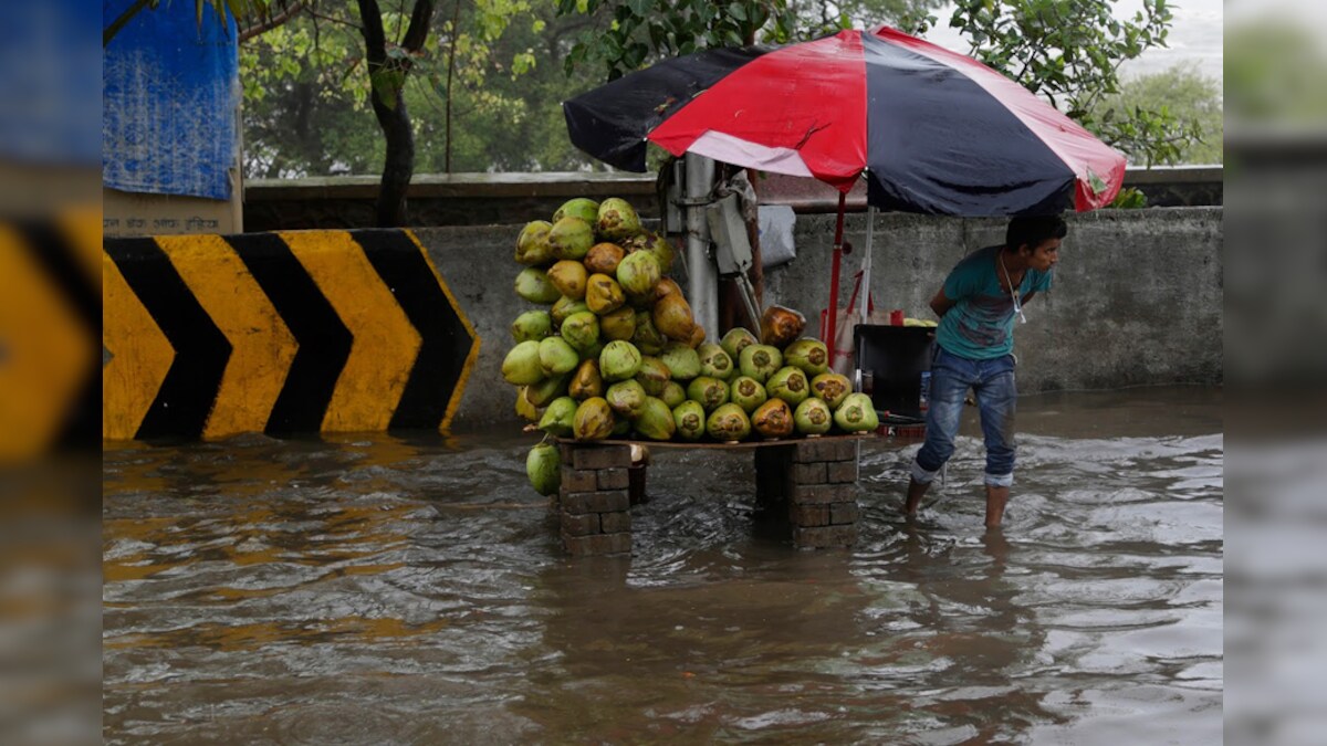 Coconuts Have Too Expensive to Break as Prices Swell on Great