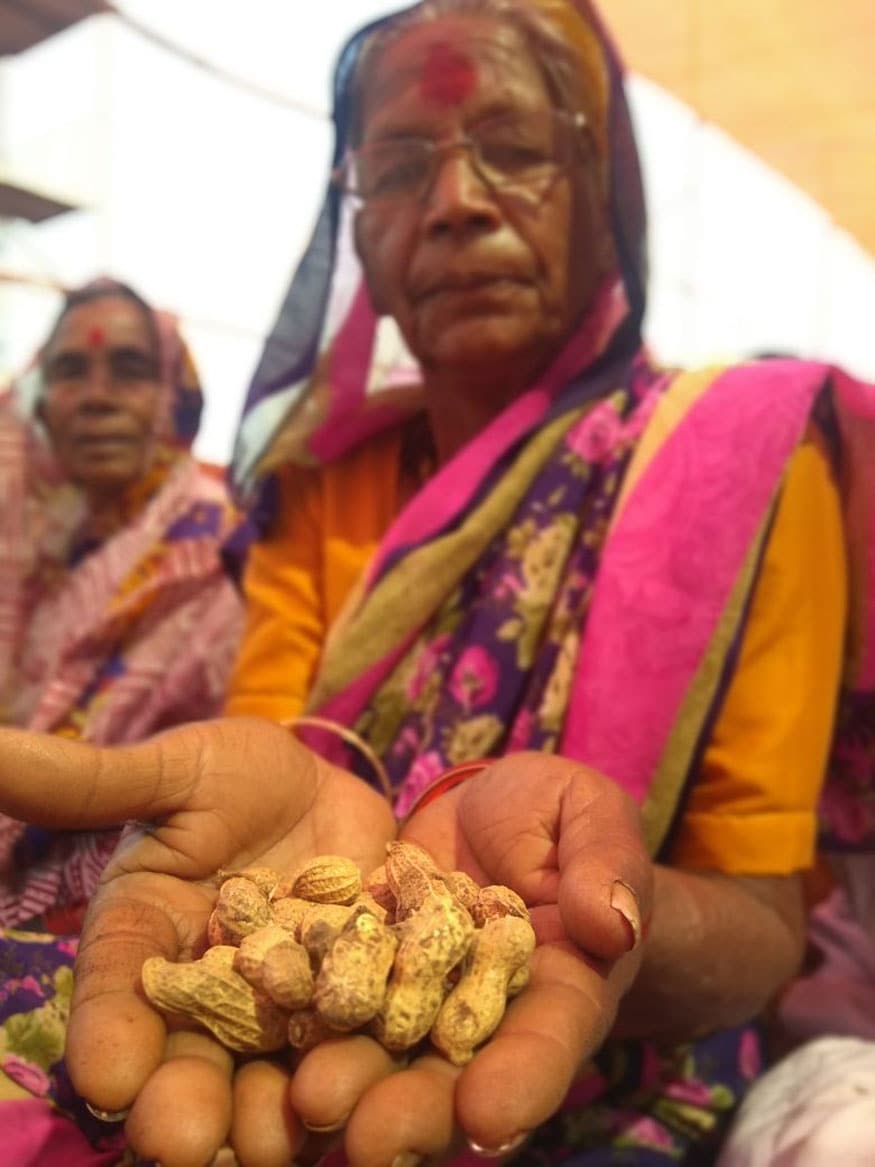Farmers are now surviving on groundnuts, the supply of which is also running out. Farmers such as a 60 year-old Sundarabai Mhadu Bhoi, have carried groundnuts to the rally which they have generously shared with the reporters at the venue. (Image: Manish Dubey/News 18) Farmers are now surviving on groundnuts, the supply of which is also running out. Farmers such as a 60 year-old Sundarabai Mhadu Bhoi, have carried groundnuts to the rally which they have generously shared with the reporters at the venue. (Image: Manish Dubey/News 18)