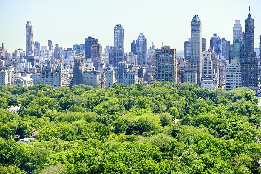 new york to ban cars from manhattans central park