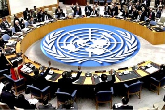 UNSC- Representative image.