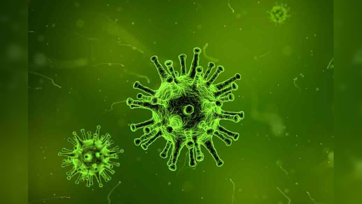 death-toll-in-scrub-typhus-outbreak-in-nagpur-mounts-to-15